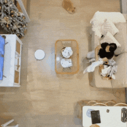 ¡Mega Combo 3-en-1: Limpieza total casa + auto + piso!